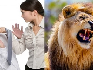 Nguồn gốc cách ví von người vợ đanh đá là 'sư tử Hà Đông', hầu hết đàn ông đều sai hoàn toàn