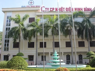 Nhiệt điện Ninh Bình NBP do ông Nguyễn Thanh Trùng Dương làm Chủ tịch bị phạt và truy thu thuế