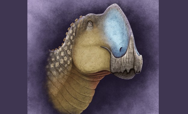 Quái thú dài 8 m xuất hiện ở Mexico, là loài chưa từng biết