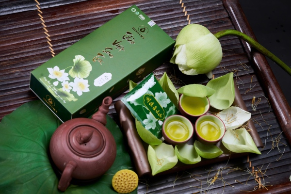 Trà Thảo Việt – Nâng tầm thảo dược Việt Nam
