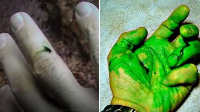 Giải mã lý do máu người chuyển từ màu đỏ sang xanh khi xuống đến đại dương sâu thẳm