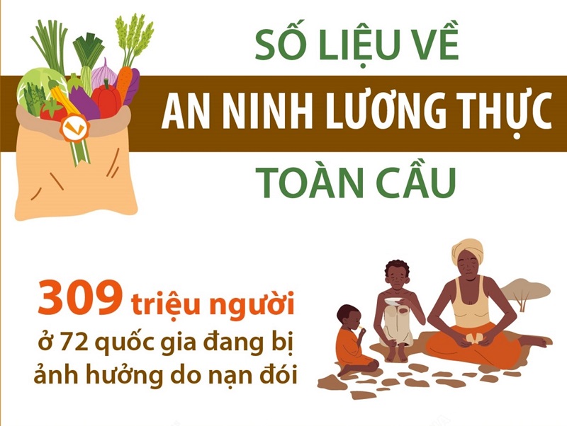 An ninh lương thực toàn cầu: 309 triệu người bị ảnh hưởng do nạn đói