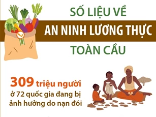 An ninh lương thực toàn cầu: 309 triệu người bị ảnh hưởng do nạn đói