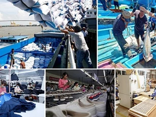 Đà tăng trưởng bị gián đoạn tạm thời sau bão, yếu tố cơ bản dài hạn vẫn vững chắc