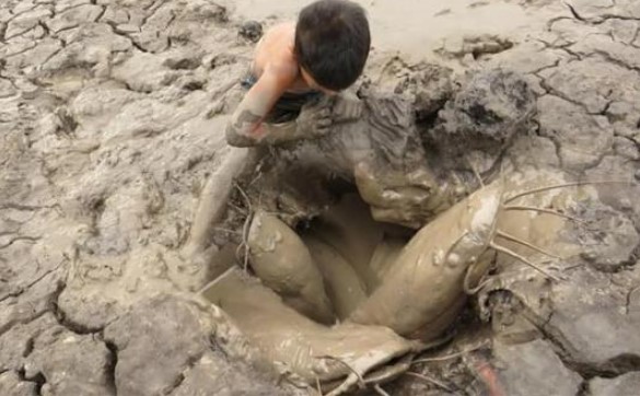 Cá phổi châu Phi nguyên thủy đã sống được 400 triệu năm dù không ăn uống gì nhưng lại không thể trốn tránh người châu Phi?