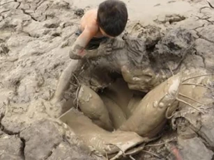 Cá phổi châu Phi nguyên thủy đã sống được 400 triệu năm dù không ăn uống gì nhưng lại không thể trốn tránh người châu Phi?