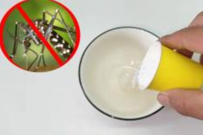 Muỗi sợ nhất bát 'nước' này, nếu bạn đặt một bát ở nhà, muỗi sẽ bị tiêu diệt sạch sẽ