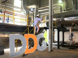 Công ty Xuất nhập khẩu Đông Dương DDG bị phạt nặng