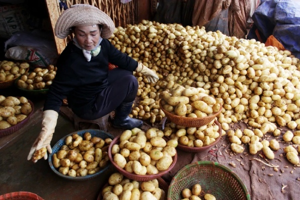 Lâm Đồng sẵn sàng đầu tư AI để bảo vệ thương hiệu nông sản