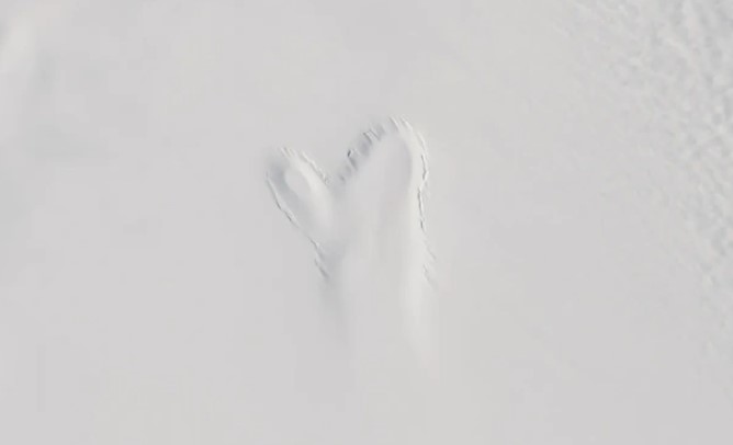 Bàn tay ma khổng lồ lõm vào băng Greenland: Sự thật đáng sợ