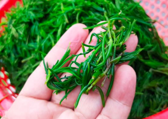 Một loại rau dại xưa nay không ai ‘ngó ngàng’, nay lại thành đặc sản bổ dưỡng khiến nhiều người mê mẩn
