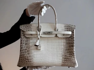 Hai chiếc túi Hermès bạch tạng 'không đáng bao nhiêu' mà bà Trương Mỹ Lan xin lại cho con cháu xa xỉ cỡ nào?