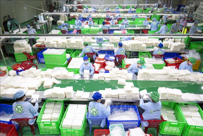 Cấp bách hỗ trợ doanh nghiệp sau bão lũ