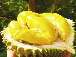Tiêu dùng trong tuần (22/9-29/9/2024): Hoa thiên lý, chanh, dừa khô... giá tăng mạnh