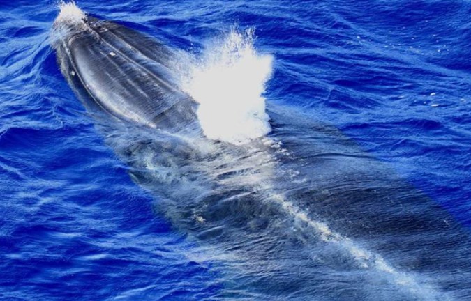 Lý giải về "âm thanh tàu vũ trụ" ở nơi sâu nhất thế giới