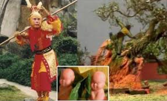 Trong 'Tây Du Ký', dù biết là quả quý nhưng vì sao Tôn Ngộ Không nhất định phải quật đổ cây Nhân Sâm của Trấn Nguyên đại tiên?