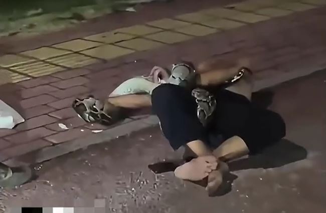 CLIP: Cái kết bất ngờ cho người đàn ông say rượu bị trăn 'khủng' siết chặt trên phố