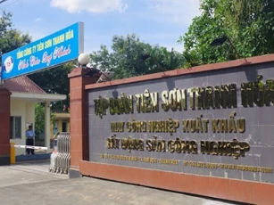 Tiên Sơn Thanh Hoá AAT bị phạt 300 triệu đồng