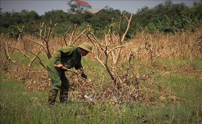 Giảm gánh nặng cho doanh nghiệp trong giai đoạn nước rút