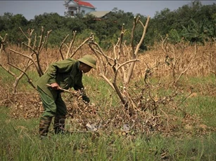 Giảm gánh nặng cho doanh nghiệp trong giai đoạn nước rút