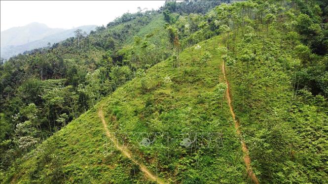 Kinh t&#x1EBF; th&#xED;ch &#x1EE9;ng v&#x1EDB;i bi&#x1EBF;n &#x111;&#x1ED5;i kh&#xED; h&#x1EAD;u - B&#xE0;i 2: L&#xE1; ch&#x1EAF;n b&#x1EA3;o v&#x1EC7; tr&#x1B0;&#x1EDB;c thi&#xEA;n tai