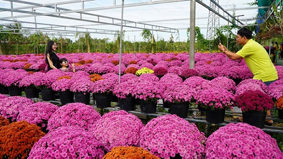 Du lịch và thương hiệu nông sản - Bài cuối: Khai thác theo chiều sâu, gia tăng trải nghiệm