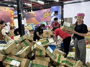 Doanh nghiệp do nữ làm chủ gặp khó trong hoạt động thương mại điện tử