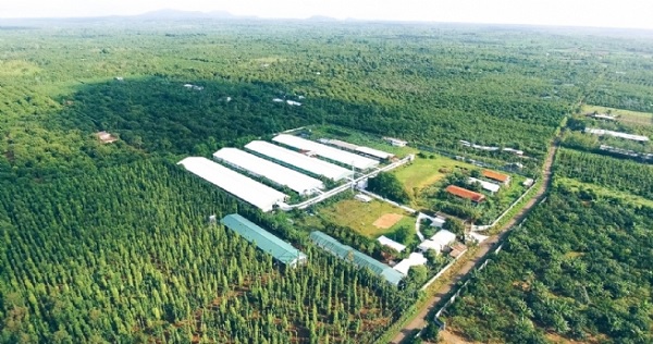 HDBank: Nhiều lợi thế về nguồn vốn xanh hóa nền kinh tế 