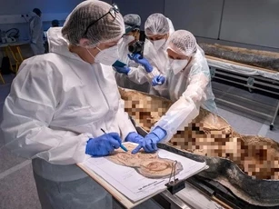 Danh tính bất ngờ của bộ hài cốt ở dưới Nhà thờ Đức Bà Paris