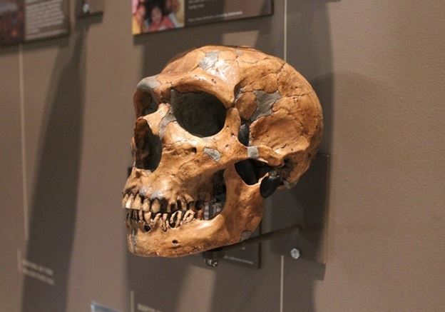 Giải mã bí ẩn về ‘loài người ma’: Ngày nay hậu duệ vẫn còn tồn tại, cả nhân loại đau đầu truy tìm nguồn gốc