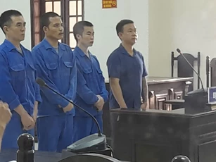 Vụ buôn lậu than củi lớn qua biên giới: Phạt 1,7 tỷ đồng, tịch thu 9 xe tải