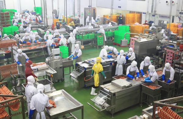 Nhận diện 'lực đẩy' giúp GDP quý III tăng trưởng 7,4%