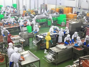 Nhận diện 'lực đẩy' giúp GDP quý III tăng trưởng 7,4%