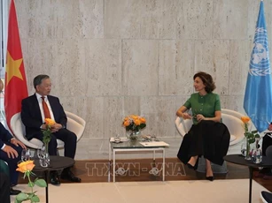 UNESCO đánh giá cao 'sự phát triển thần kỳ' của Việt Nam