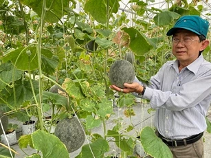Chuyển đổi số nâng cao hiệu quả và sức cạnh tranh của nông sản Việt