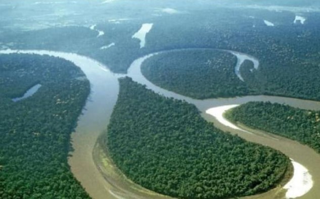 Sông Amazon đáng sợ đến mức nào? Tại sao không ai dám bơi chứ đừng nói đến việc làm cầu?