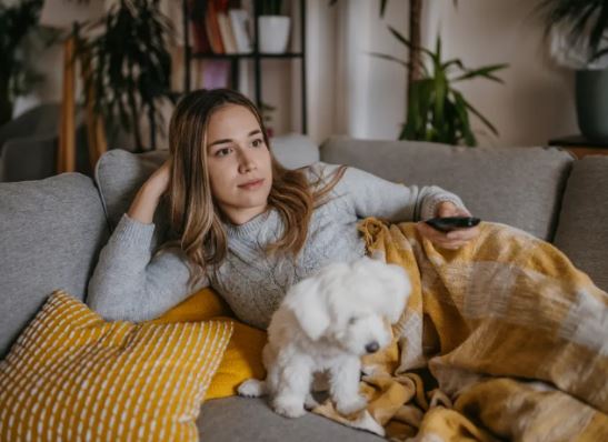 Lý do tại sao gần một nửa người Mỹ thích xem tivi cùng thú cưng của họ, bí mật đằng sau là gì?