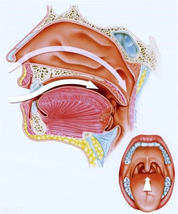 cắn lưỡi, cắn lưỡi có chết không