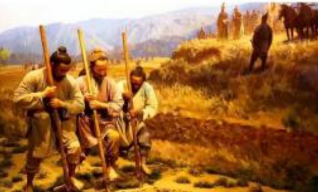 Tại sao người xưa thường ăn cỏ và vỏ cây thay vì ăn “cá tôm” khi nạn đói xảy ra?