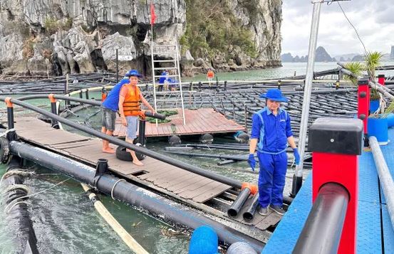 Xuất khẩu thủy sản quay lại đà tăng trưởng