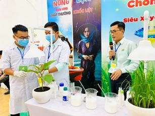 Giải pháp cho cây lúa đạt năng suất cao trong điều kiện thời tiết cực đoan