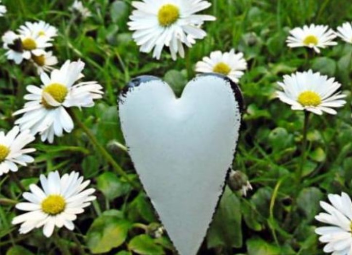 Có ba hiện tượng giữa người thân còn đáng sợ hơn việc vay tiền, nếu hiện tại đang xảy ra thì nên đề phòng