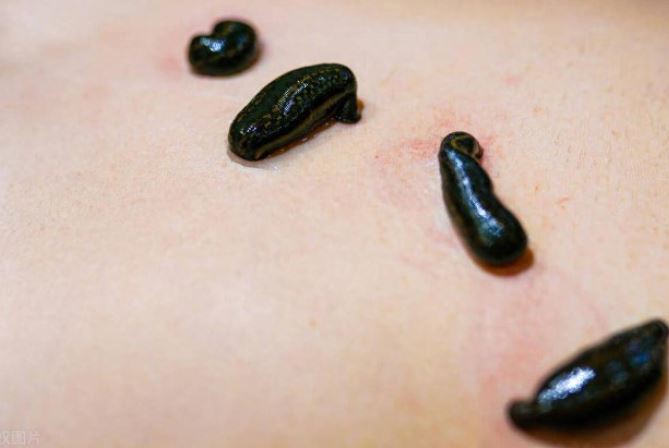 Loại động vật ở Trung Quốc xem là 'vàng mềm' giá 3 triệu/kg: Hiếm ai dám nuôi lại có nhiều ở đồng ruộng Việt Nam