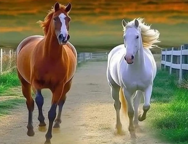 Ba con giáp bắt đầu khởi sắc ở tuổi 40, hôn nhân ngọt ngào, bắt đầu đà thăng tiến và giàu có