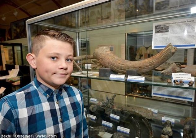 Cậu bé 13 tuổi nhặt được khúc gỗ ở bãi biển, ai ngờ là ‘báu vật’ quốc gia có từ cuối thời kỳ đồ đá