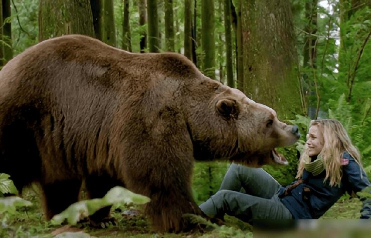 Những con gấu nâu xảo quyệt và đáng sợ như thế nào?