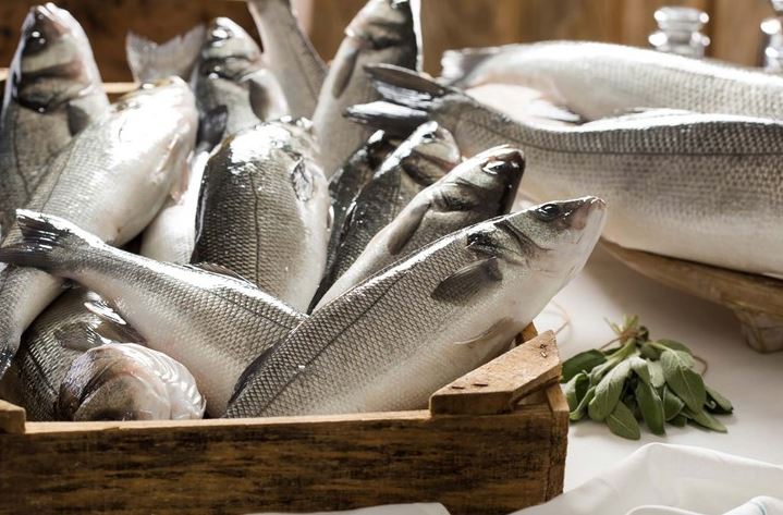 Loại cá nước ngọt ít xương, dinh dưỡng cao, tốt cho tim mạch, lại ngừa ung thư, biển Việt Nam rất sẵn