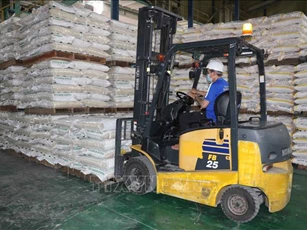 Các tổ chức quốc tế vẫn kỳ vọng vào tăng trưởng kinh tế của Việt Nam
