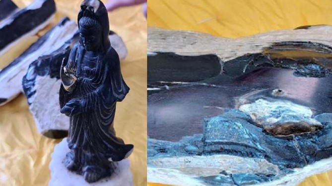 Gỗ quý ở Việt Nam được trả 250 tỷ đồng/kg vẫn không bán, được ví là 'kim cương rừng' hiếm có khó tìm