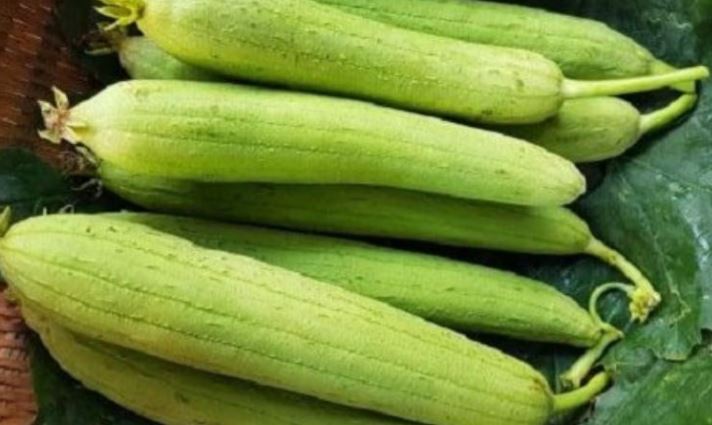 Ăn mướp làm tăng nguy cơ mắc bệnh thận? Bác sĩ nói để bảo vệ thận tốt nhất nên tránh 5 việc quen thuộc